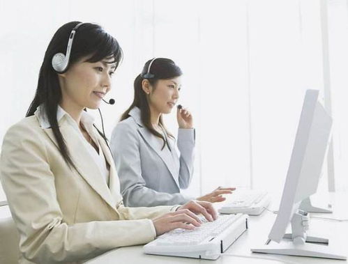 英语专业毕业生的黄金赛道 聚焦信息咨询服务，开启无限职业可能